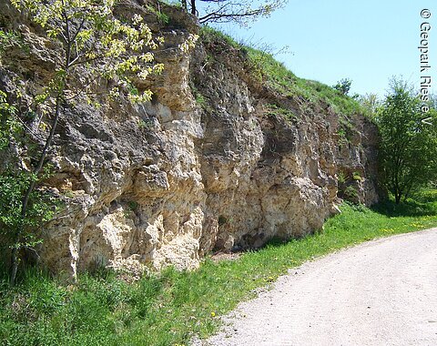 Bürschel Hainsfarth Blick auf das Gestein am Bürschel in Hainsfarth