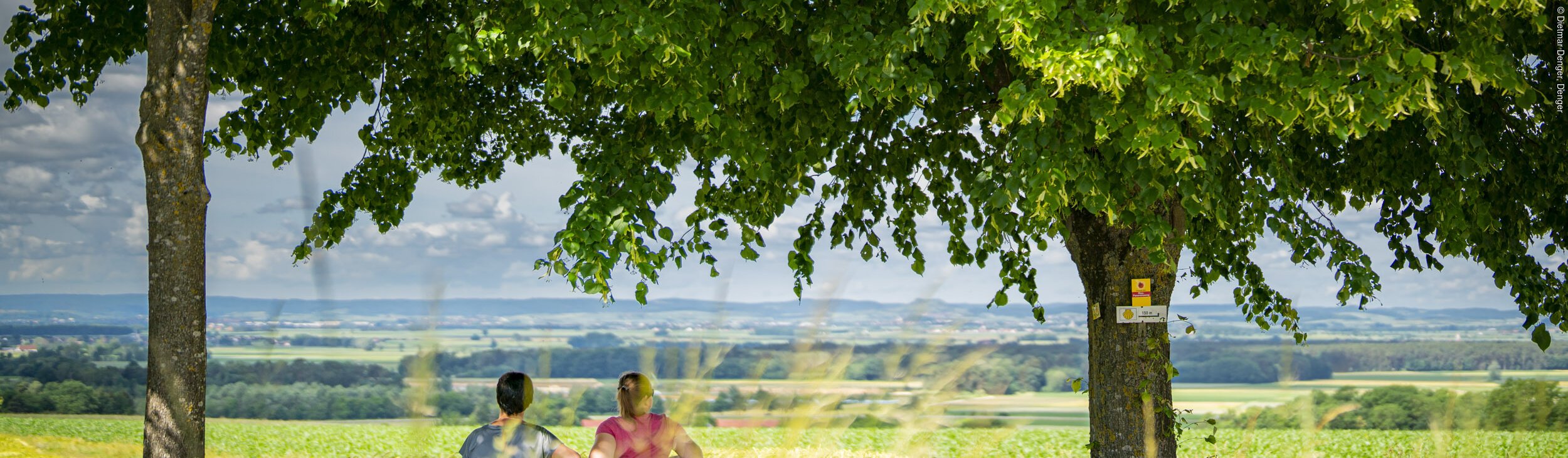 Aussicht Trendel bei Polsingen
