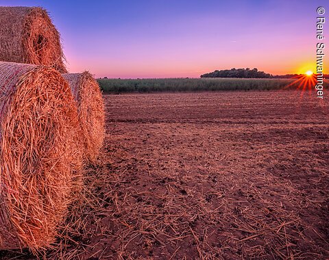 Strohballen im Sonnenuntergangslicht Strohballen im Sonnenuntergangslicht bei Laub